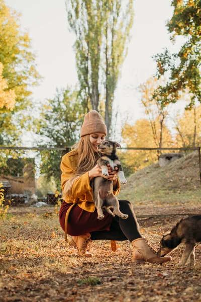 Pet Love. Wolontariuszka bawi się z bezdomnymi szczeniakami w jesiennym parku. Autentyczne chwile radosnej dziewczyny bawiącej się bezpańskimi psami. Pojęcie wolontariatu i schronisk dla zwierząt — Zdjęcie stockowe