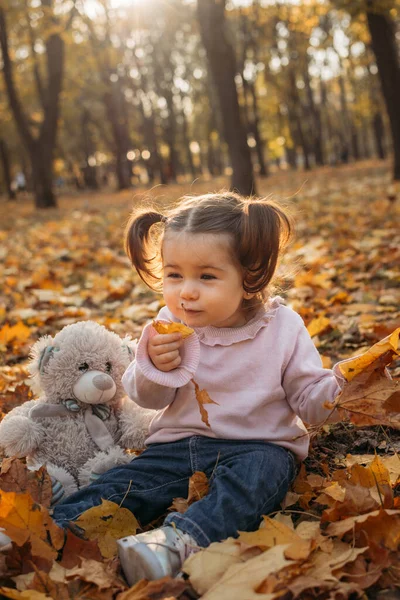 Schattig peuter baby meisje met zacht speelgoed buiten spelen in de herfst park. Klein meisje in het herfstpark. Herfstactiviteiten voor peuters. — Stockfoto
