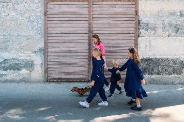 Tek ebeveynli aile, tek ebeveynli aile. Bekar bir anne, tek başına çocuk yetiştiriyor. Büyük mutlu bir aile bir anne, üç çocuk çocuklar ve köpek yaz parkında birlikte oynuyorlar..