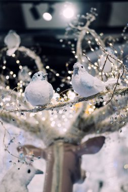 Işıl ışıl ışıl ışıl iki kuş ışıl bir dalın üzerine tünemiş ışık ve dekorla tuhaf bir Noel gösterisinde. Fantezi kış teması. Varşova, Polonya, 20 Kasım 2024.