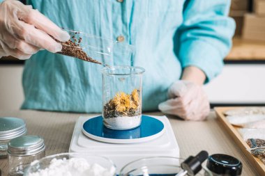 Eldivendeki eller tohumları dijital ölçekte kurutulmuş çiçeklerin bulunduğu cam şişeye döküyor. Doğal kozmetik ürünleri, botanik kimya, organik cilt bakımı, bütünsel sağlık.