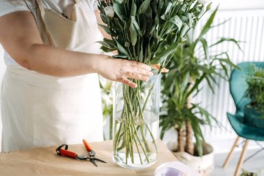 Profesyonel çiçekçi çalışma masasındaki cam vazoya uzun yeşil saplar koyar. Çiçek tasarım süreci, yaratıcı çalışma alanı, zanaat becerileri, çiçek atölyesi
