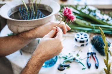 Eller, beyaz metal vazonun üzerinde tel örgüyle küçük pembe bir makine tutuyor. Evde botanik terapi, çiçek akıl sağlığı, duyusal ev dekorasyonu..