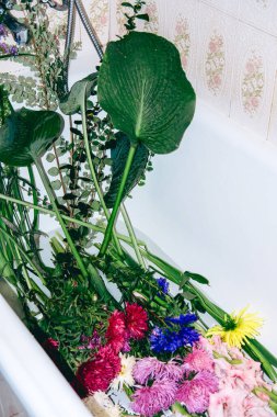 Uzun yeşil saplı çeşitli renkli çiçekler suyla dolu beyaz küvetin içinde yatıyor. Çiçek düzenleme, ev yapımı zanaat, çiçek tasarımı özel ders, yaratıcı sağlık, yavaş yaşam hobileri