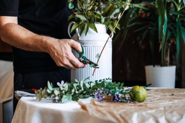 Eller, beyaz flüt sürahisinin yanındaki masadaki ince botanik sapını kesmek için yeşil bahçe makası kullanır. Biyofili, doğadan esinlenilmiş yaşam, bitki-insan bağlantısı, yeşil iç mekanlar, botanik aksanlar.