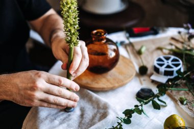 Eller çalışma masasındaki metal Kenzan 'a uzun yeşil çiçek sapı takar. İkebana, Kenzan çiçek kurbağası, Japon çiçek sanatı, minimalist düzenleme, çiçek mekaniği