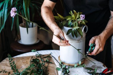 Eller, flütlü beyaz sürahinin içinde uzun yapraklı dallar ve küçük mor çiçekler düzenler. DIY çiçekçi, çiçekçi özel tasarım, amatör çiçekçi, kişiselleştirme alanı, el yapımı ev dekorasyonu..