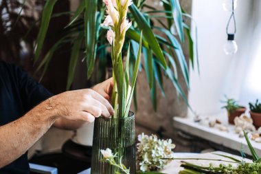 Kişinin elleri uzun gladiolus sapını flütlü cam vazoya yerleştirir. Etrafı ev bitkileriyle çevrilidir. Biyofilik iç mekan, sürdürülebilir çiçek tasarımı, doğal malzemeler, çevre dostu yaşam tarzı, kapalı alandaki bitkiler..