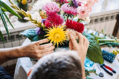 İnsanın elleri parlak sarı ve pembe çiçekleri büyük beyaz vazoda düzenler. Renk terapisi, canlı çiçek paleti, ruh halini canlandıran dekor, rengin psikolojik etkisi, çiçek estetiği.