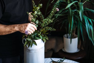 Eller, beyaz flüt sürahisinin içinde yapraklı saplar ve küçük mor çiçekler düzenler. Çiftlik çiçekleri şık, kır çiçekçisi, süt sürahisi, kır tarzı ev, pastoral estetik.