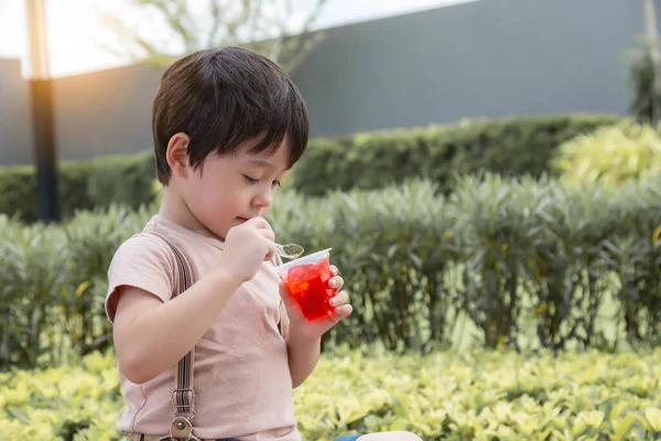 Lindo Niño Pequeño Comiendo Dulces Bocadillos Durante Sentarse Parque Guapo — Foto de Stock