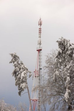 Karla kaplı ormandaki telekomünikasyon anten kulesi rekor yükseklikteki kar yağışı üzerine İsviçre Zürih.