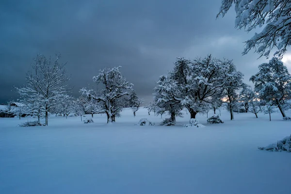 Dark Blue Moody Snow Covered Winter Wonderland Scene Late Evening — Stock Photo, Image