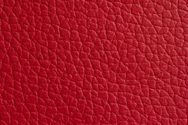 Padrão Couro Vermelho Escalas Textura Macro Close Tiro Vista Frontal — Fotografia de Stock