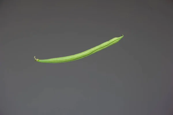 One Fresh Green Bean Stem Isolated Gray Background Macro Close — Stock Photo, Image