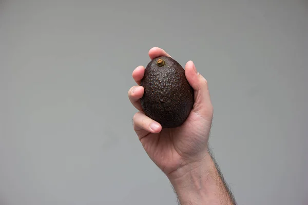 灰色の背景に隔離された熟した茶色のアボカドを持つ白人男性の手 — ストック写真