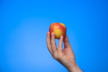 Taze, sarı ve kırmızı elma beyaz bir erkeğin elinde. Mavi arka plan stüdyo çekimlerinde izole edilmiş.
