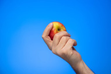 Taze, sarı ve kırmızı elma beyaz bir erkeğin elinde. Mavi arka plan stüdyo çekimlerinde izole edilmiş.