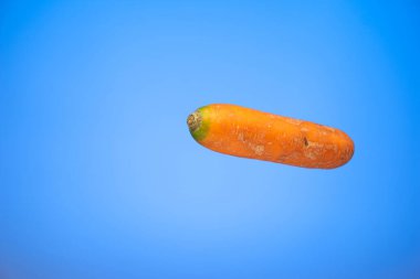 Mavi arka planda taze taze çiğ havuç..