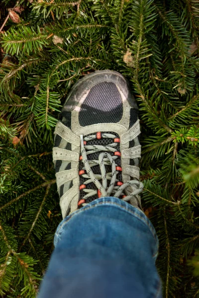 Hiking Boot Ground Forest Daytime Summer Top View — Stockfoto