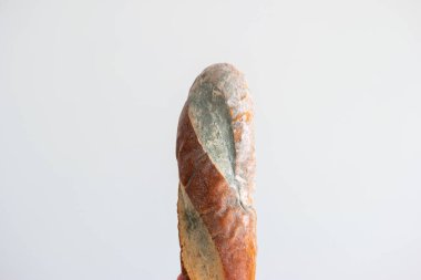 Bozulmuş küflü ekmek parçası. Yakın çekim, gri arkaplanda izole edilmiş..
