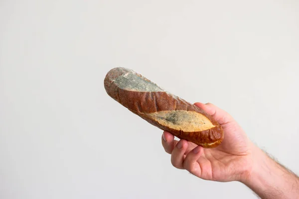 Vit Manlig Hand Med Möglig Bortskämd Brödbit Närbild Skott Isolerad — Stockfoto