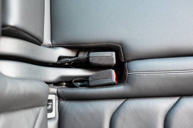 Yeni araba arka koltukları kemer tokaları düzgün yerleştirilmiş. Üstten aşağı, yakın çekim, insan yok.