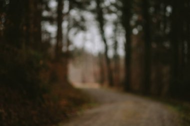 Bulanık çakıl yolu ormanda dönüyor. Huysuz gri atmosfer, insan yok, bulanık soyut arkaplan