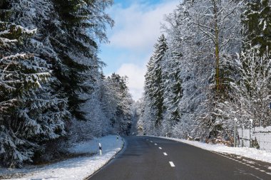 Kış yolu karla kaplı bir ormanın içinden geçiyor. Geniş açı, araba yok, insan yok.