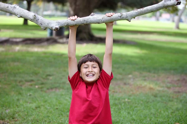 Garçon dans le parc pendu à un arbre — Photo