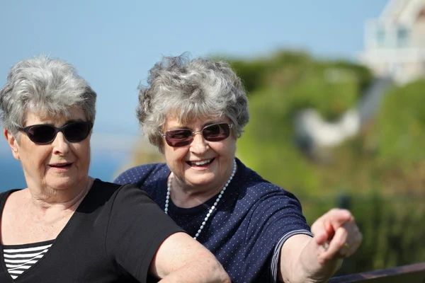 Irmãs gêmeas idosas felizes lá fora junto ao oceano — Fotografia de Stock