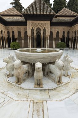 Granada 'daki Alhambra' da bulunan terasa adını veren Aslan Çeşmesi 'nin ayrıntıları..