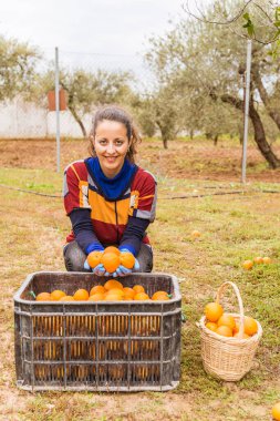 Kafkas kadın portakal dolu bir kutunun yanında, elinde portakalları tutuyor ve onları gösteriyor.. 