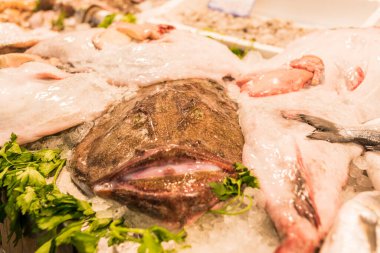 Pazarda gösterilen çeşitli balık türleri. Balık önemli bir protein ve sağlıklı yağ kaynağıdır..