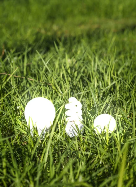 草の上に電球が点灯します 環境に配慮するために緑とクリーンエネルギーを使用することの重要性を示す概念写真 — ストック写真