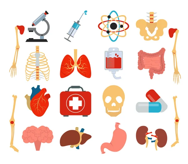 Stock vector medicina anatomía plana icono conjunto — Archivo Imágenes Vectoriales