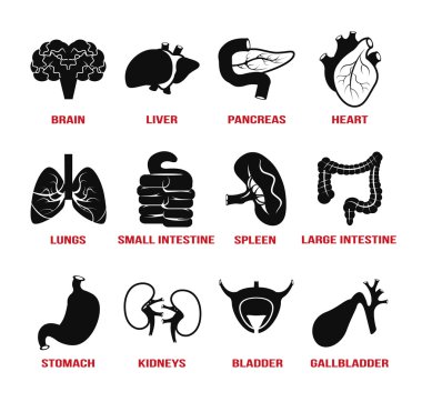 Vektör iç insan organlarını Icons set