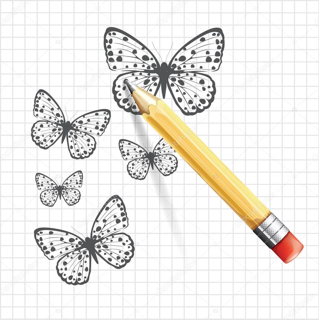 Butterfly sketch. Vector illustration