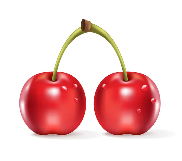 Realistické cherry. Vektorové ilustrace — Stockový vektor