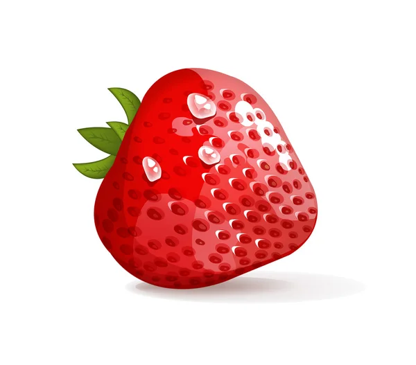 Erdbeeren Vektor Illustration — Stockvektor