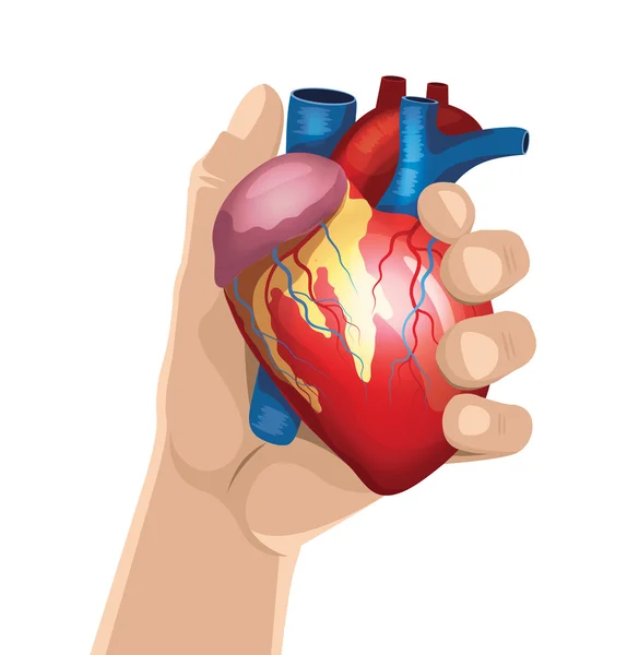 La mano tiene il cuore. Illustrazione vettoriale — Vettoriale Stock