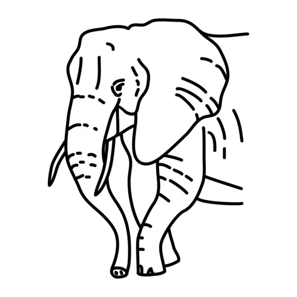 Ícone Elefante Vetor Conjunto Ícones Desenhado Mão Animal Tropical —  Vetores de Stock