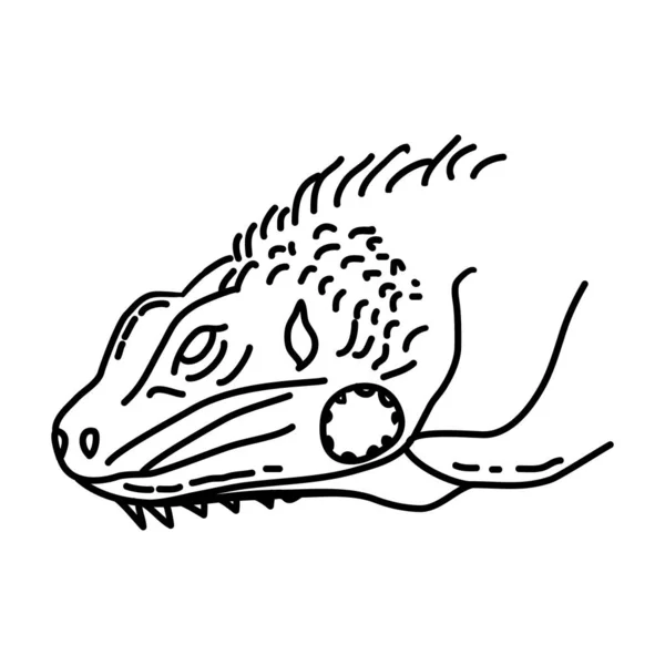 Iguana Icon Vektor Sady Ručně Kreslených Ikon Tropických Zvířat — Stockový vektor