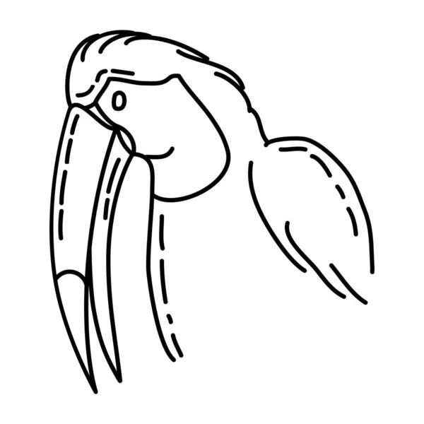 Toco Toucan Icon Vector Conjunto Iconos Dibujado Mano Animales Tropicales — Vector de stock