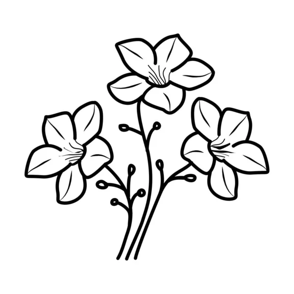 Alamanda Floral Hand Gezeichnet Vektor Design Illustration Zeichen Logo — Stockvektor