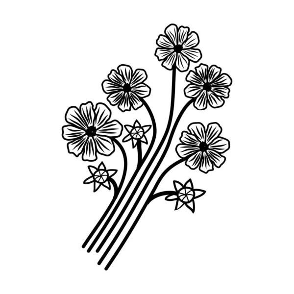 Cosmos Floral Hand Gezeichnet Vektor Design Illustration Zeichen Logo — Stockvektor