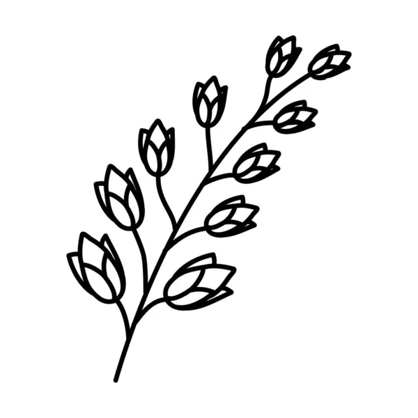 Hypericum Floral Hand Gezeichnet Vektor Design Illustration Zeichen Logo — Stockvektor