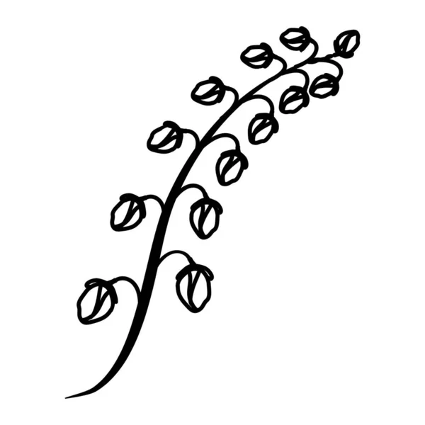 Jasmine Floral Hand Gezeichnet Vektor Design Illustration Zeichen Logo — Stockvektor