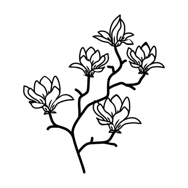 Magnolia Floral Hand Gezeichnet Vektor Design Illustration Zeichen Logo — Stockvektor