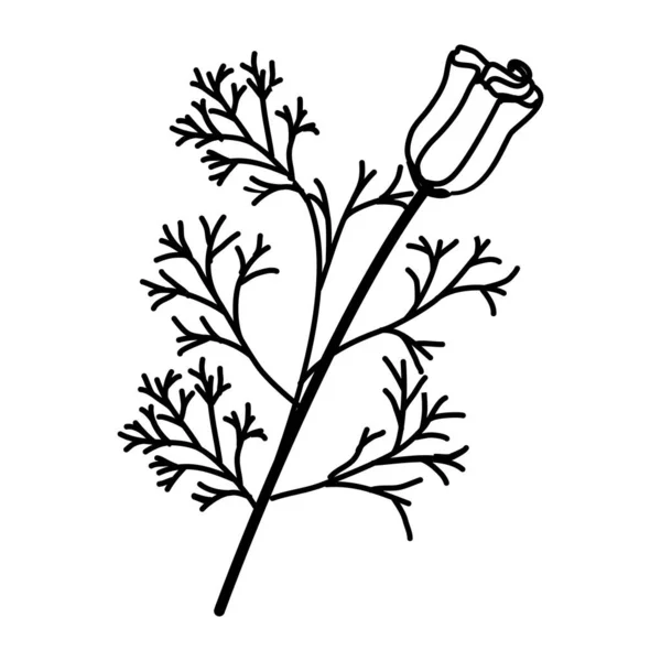 Poppy Floral Hand Gezeichnet Vektor Design Illustration Zeichen Logo — Stockvektor